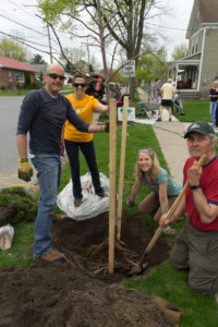 Tree Toga planting crew in action