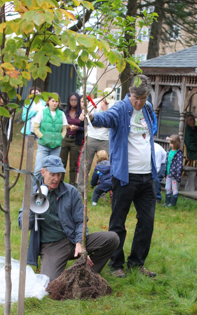 TREE TOGA: Trees for the next generation - Sustainable Saratoga