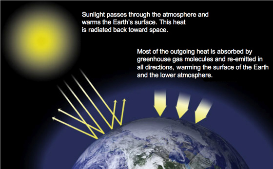 the greenhouse effect: sunlight passes through the atmosphere and warms the earth's surface. The heat is radiated back towards space. Most of the outgoing heat is absorbed by greenhouse gas molecules and re-emitted in all directions, warming the surface of the earth and lower atmosphere.