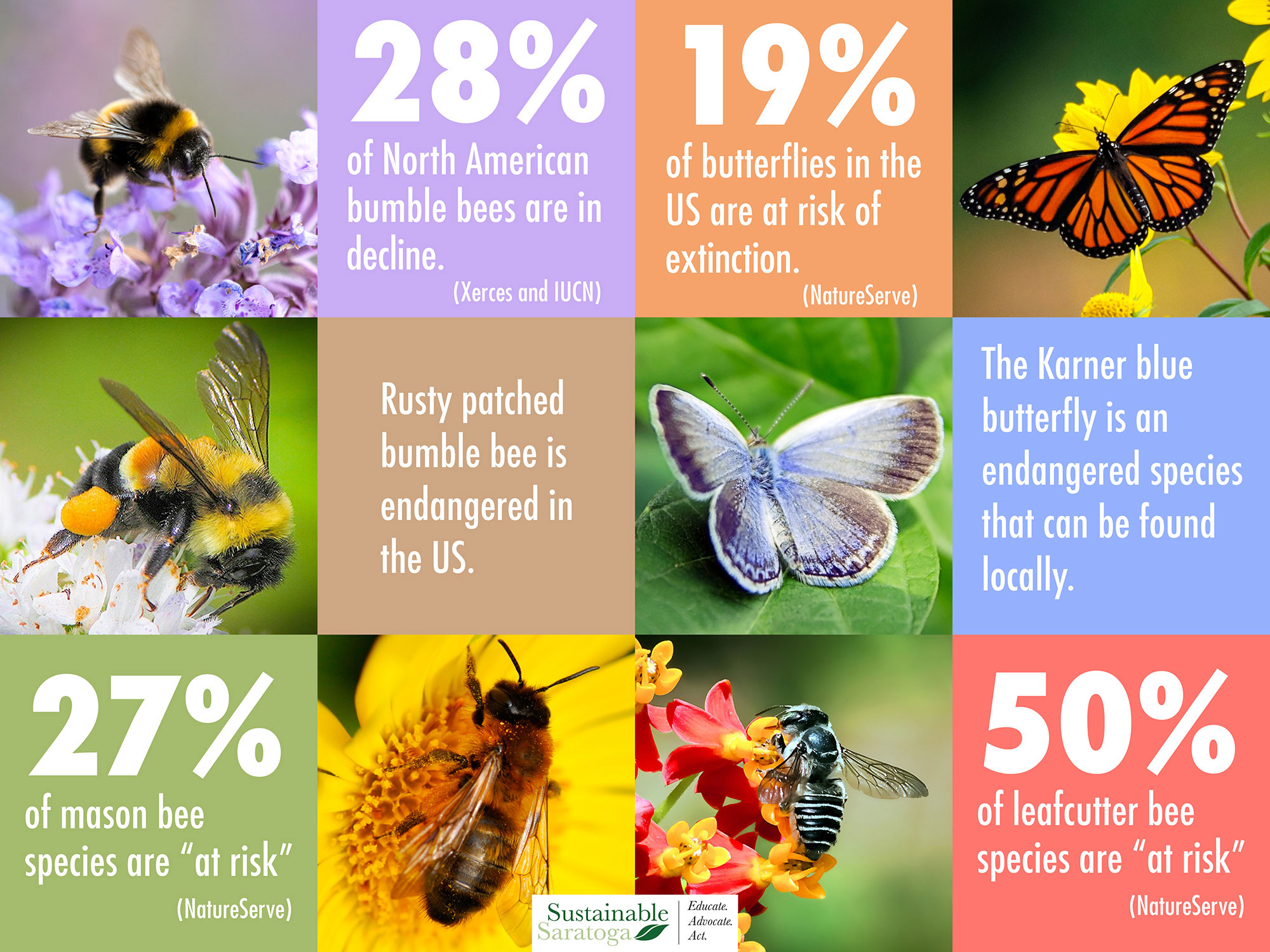 Click here to go to the Threats to Pollinators page