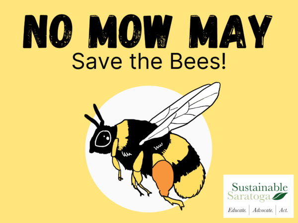 No Mow May. Save the Bees! Sustainable Saratoga