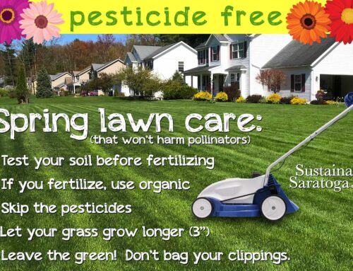 Commit to Sustainable, Pesticide-Free Lawn Care This Year