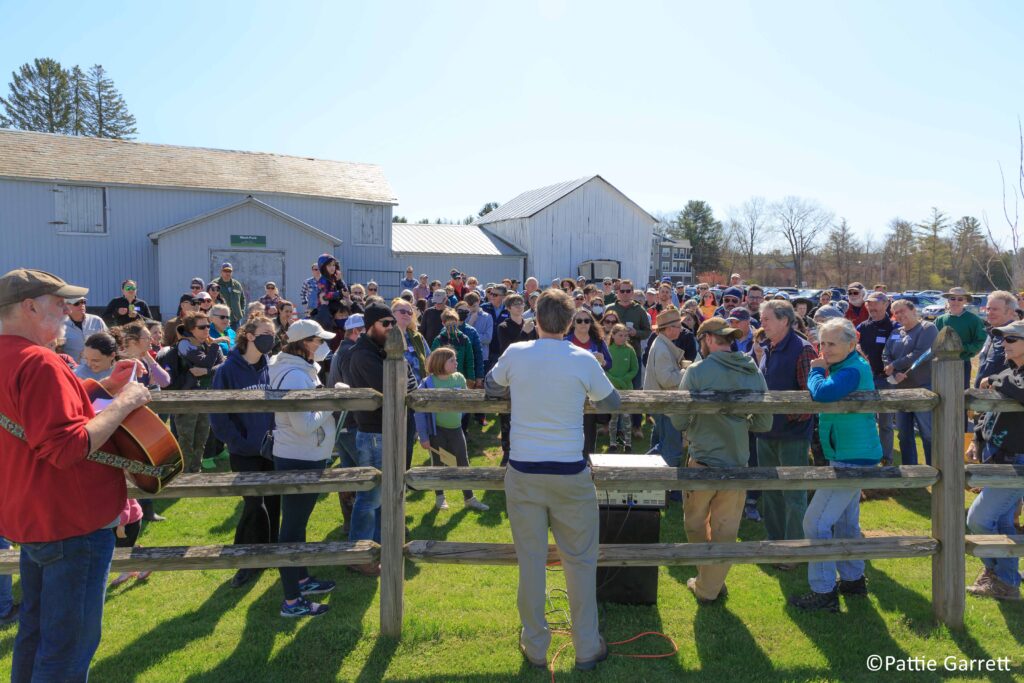 Tree Toga tree planting demonstration