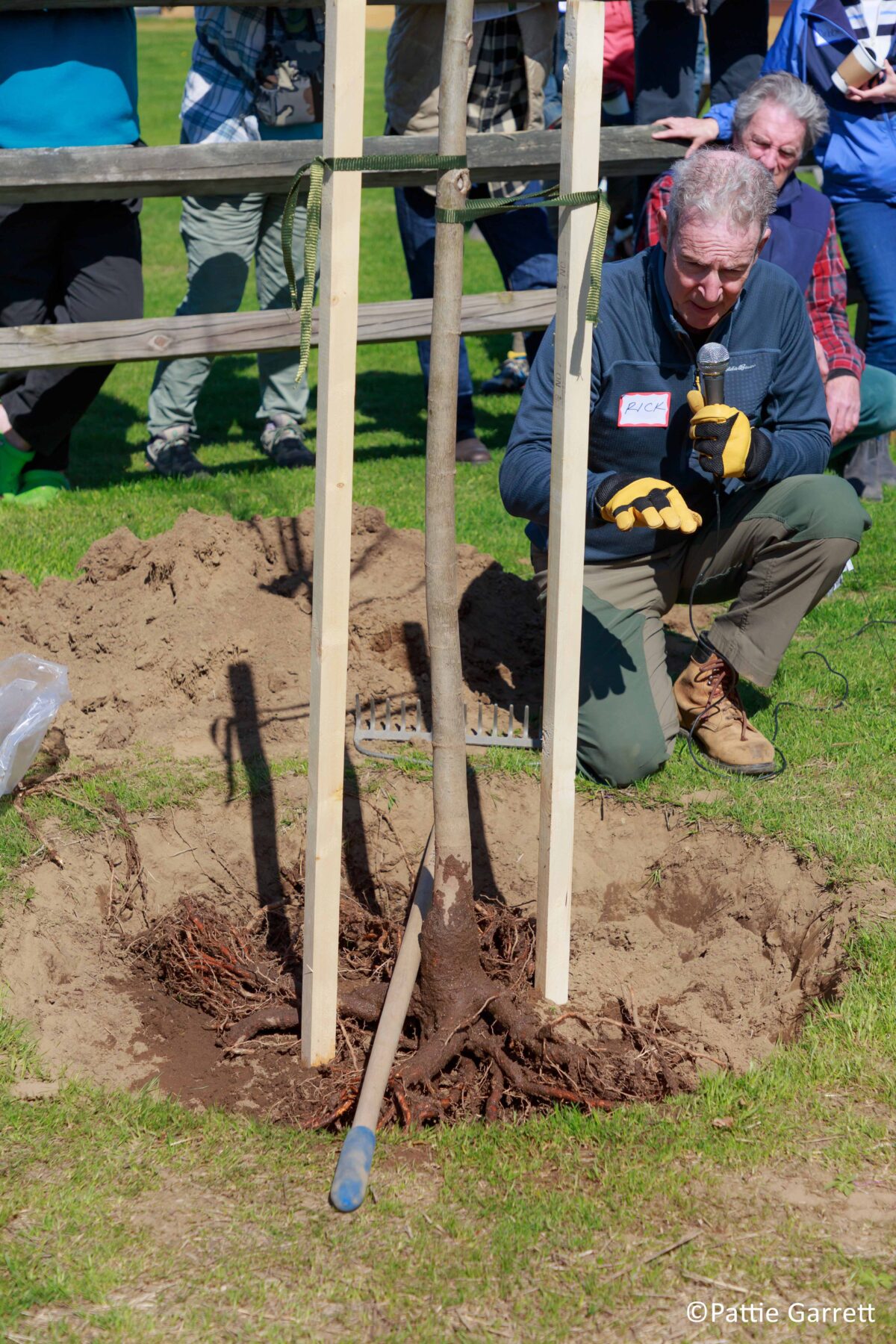 TREE TOGA: Trees for the next generation - Sustainable Saratoga