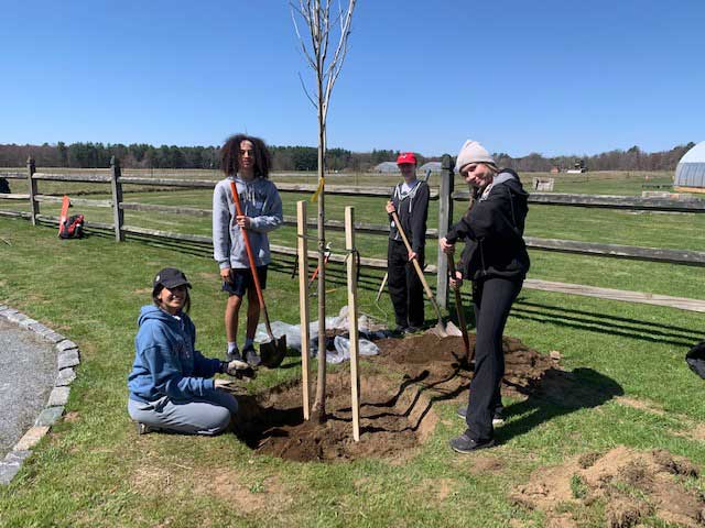 Youth2 volunteers planting a tree