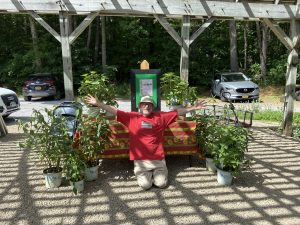 Winner of the American Beauties native pollinator garden with his new plants