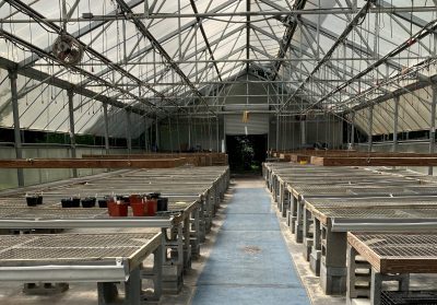 Greenhouse with empty tables