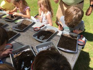 Students examine compost up close