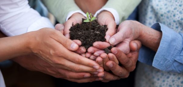 Hands holding a tiny plant