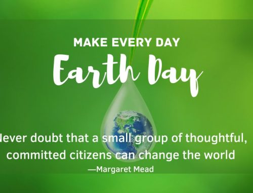 5 things you can do TODAY to help the Earth