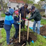 Tree Toga tree planters hard at work