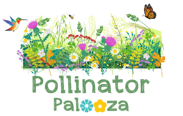 Pollinator Palooza native plant sale, June 4 2023, 10 am - 5 pm, Oligny's Greenhouse, 390 Wilton-Gansevoort Road, Gansevoort