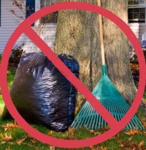 Don't rake and bag your leaves