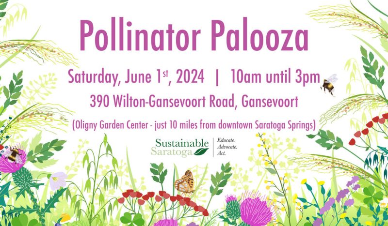 Pollinator Palooza native plant sale, June 4 2023, 10 am - 5 pm, Oligny's Greenhouse, 390 Wilton-Gansevoort Road, Gansevoort