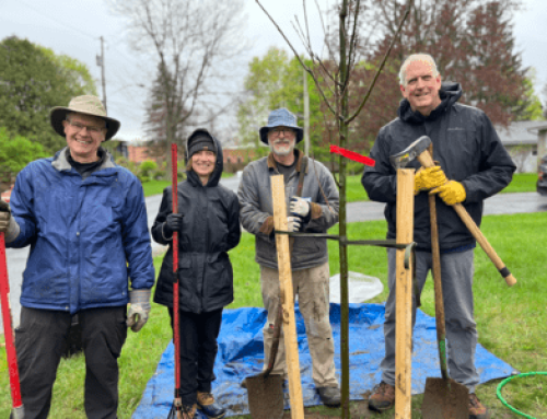 Press Release: Sustainable Saratoga Celebrates Earth Month in April