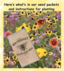 Sustainable Saratoga Seed Packets