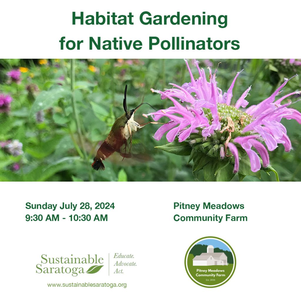 Habitat Gardening for Native Pollinators