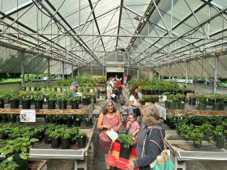 Palooza 2024 Greenhouse filled with shoppers