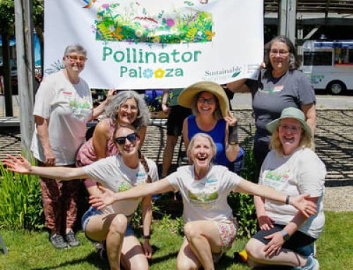 A HUGE Pollinator Palooza Thank-you