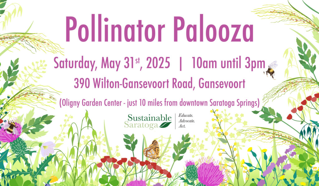 Pollinator Palooza Native Plant Sale