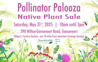 Pollinator Palooza