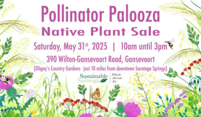 Pollinator Palooza
