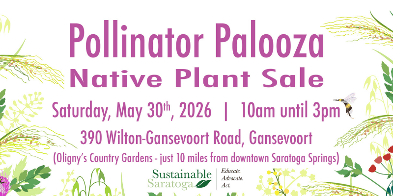 Pollinator Palooza native plant sale, May 30 2026, 10 am - 5 pm, Oligny's Greenhouse, 390 Wilton-Gansevoort Road, Gansevoort