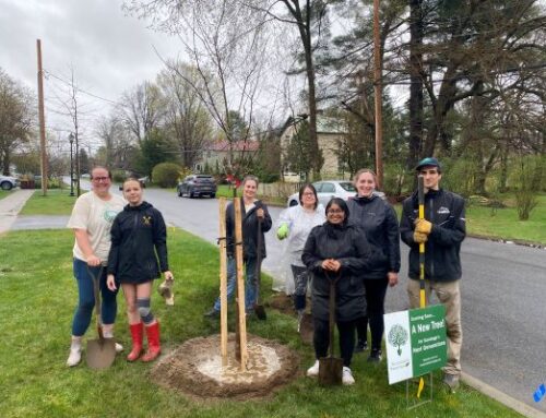 Press Release Tree Toga 2026 Call for Volunteers