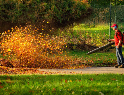 Transitioning to Electric Lawn Equipment