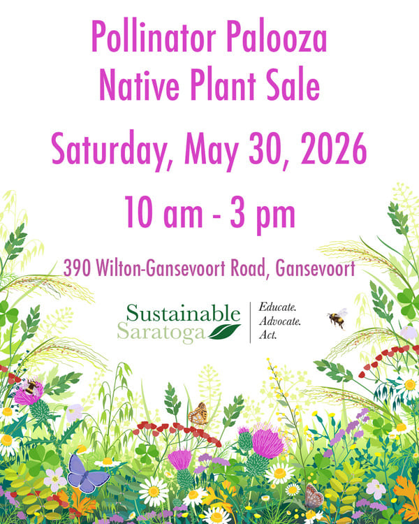 Pollinator Palooza