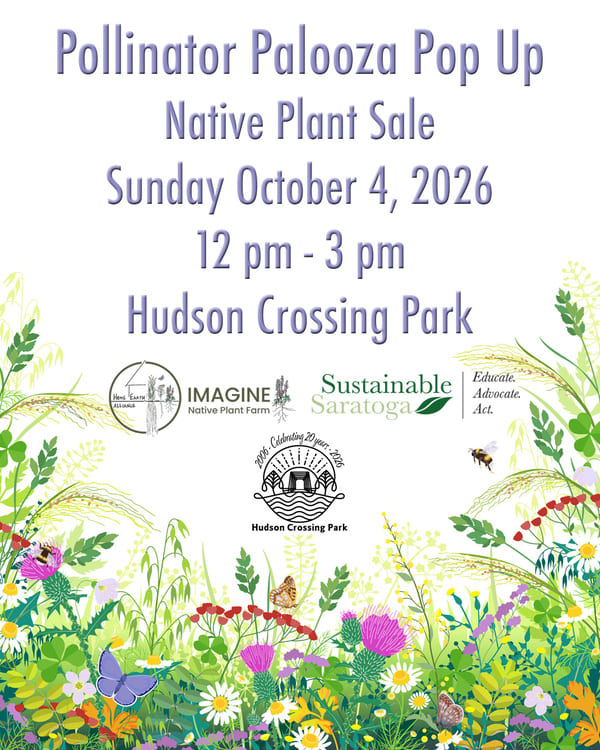 Pollinator Palooza Pop Up
