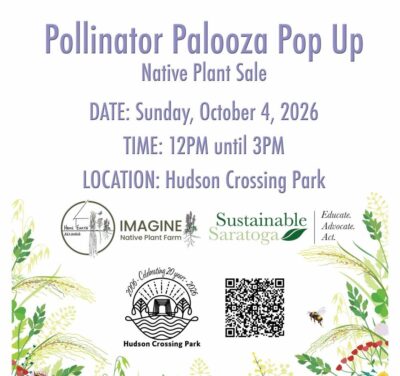 Pollinator Palooza popup native plant sale, Sunday Oct 4 2026, 12-3PM, Hudson Crossing Park