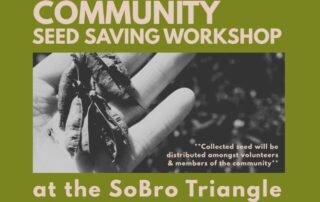 Community Seed Saving Workshop at the SoBro Triangle with Sustainable Saratoga's pollinator committee